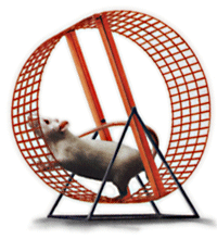 mouse_wheel_200x220.gif