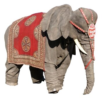 Elephant (Small).jpg