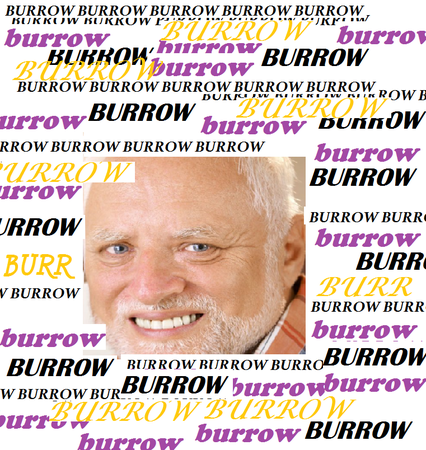 BURROW.png