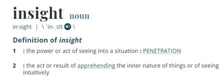 insight_definition.JPG