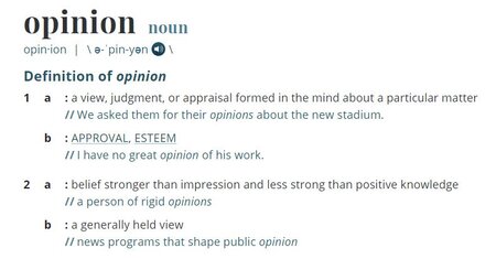 Opinion-definition.JPG