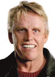 Image result for gary busey