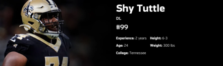 Shy tuttle banner PM.png