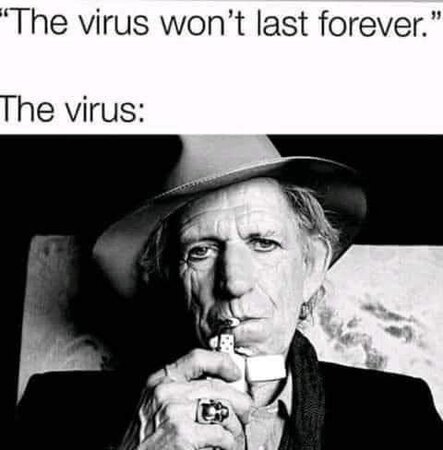 virus forever fb.jpg