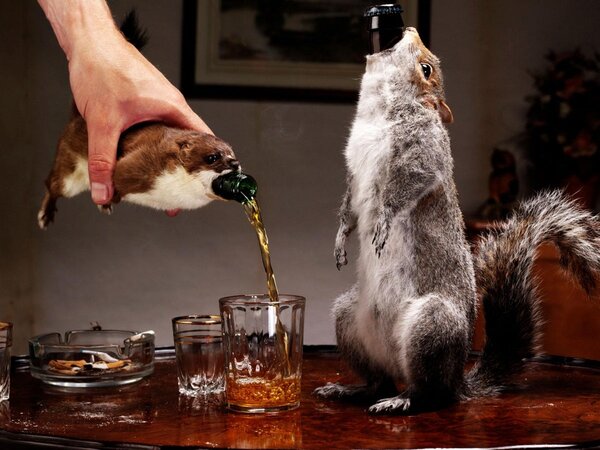 beer squirrel.jpg