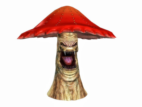 mushroom 1.jpg