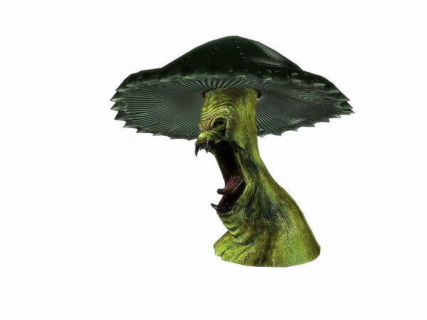 mushroom 2.jpg