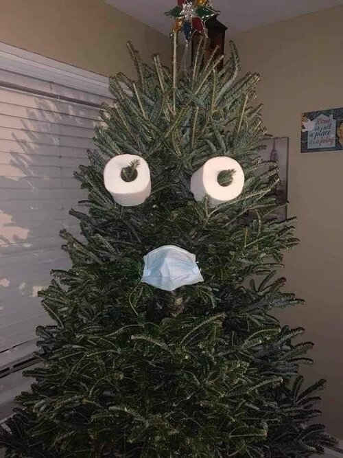 tree.jpg