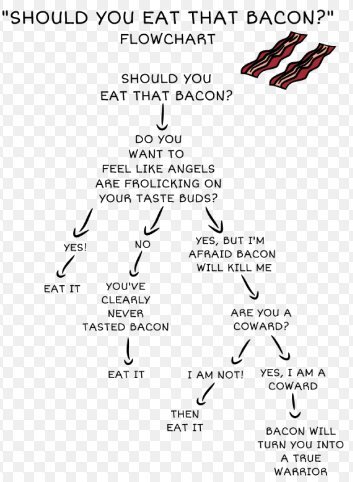 Bacon #1 Meme.jpg