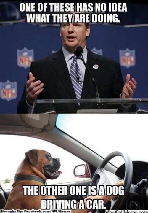 Goodell meme.jpg