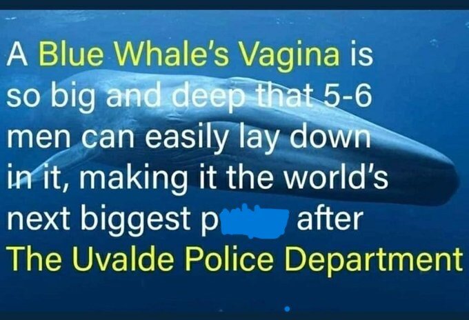 whale 2.jpg