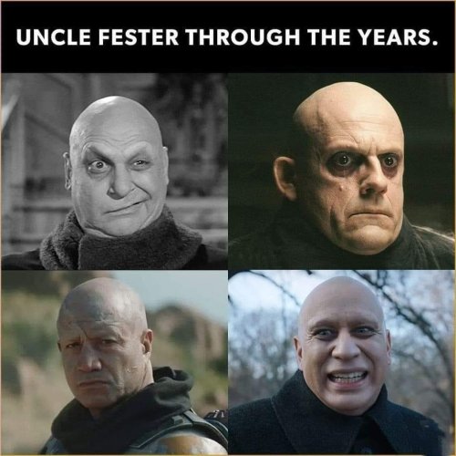 fester.jpg