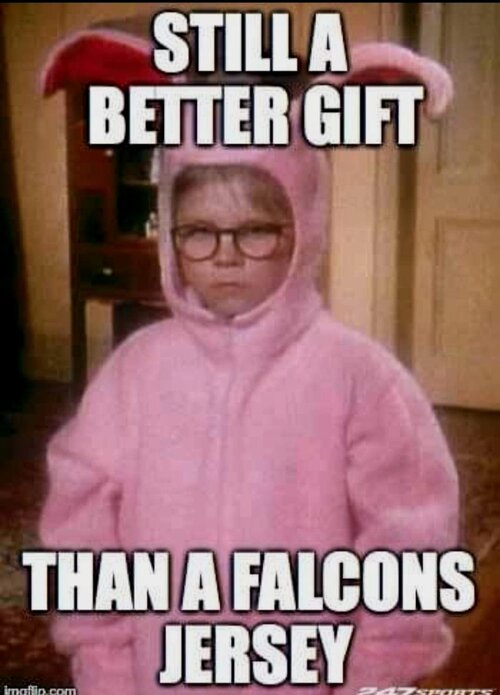 falcons bunny.jpg