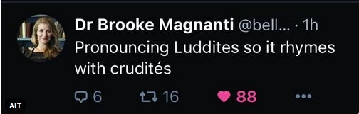 luddite.JPG