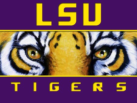 LSU02.jpg