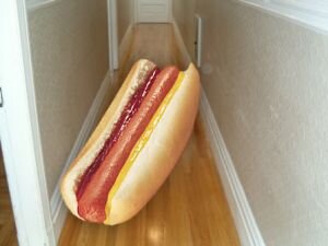 hotdog_down_a_hallway.jpg