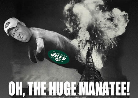 rex-ryan-manatee.jpg