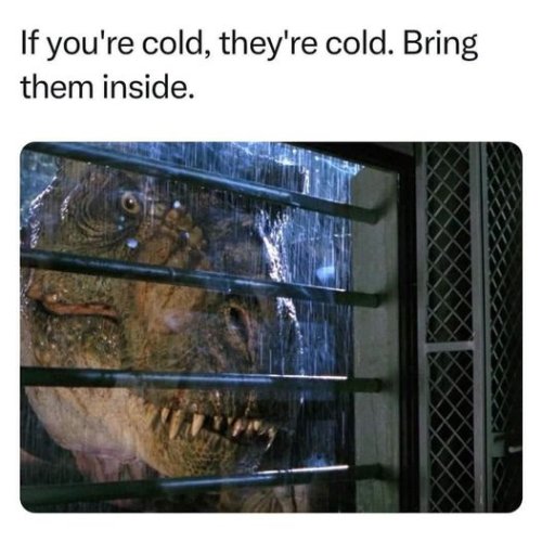 cold.jpg