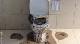 cloged toilet.jpg