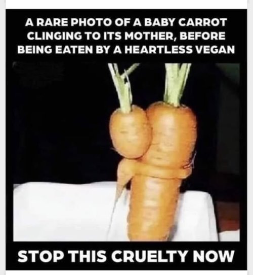 carrot.jpg