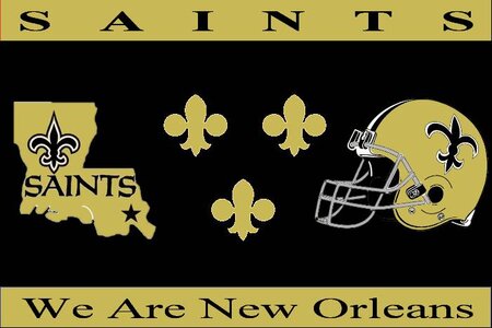 SAINTS We Are New Orleans.jpg