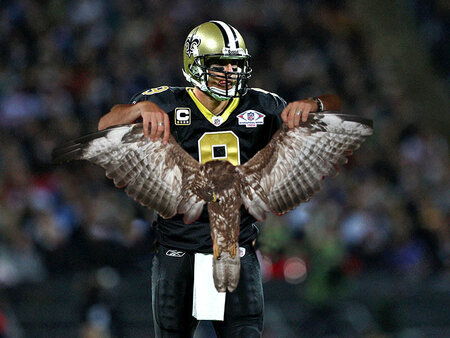 breesgotfalcon.jpg