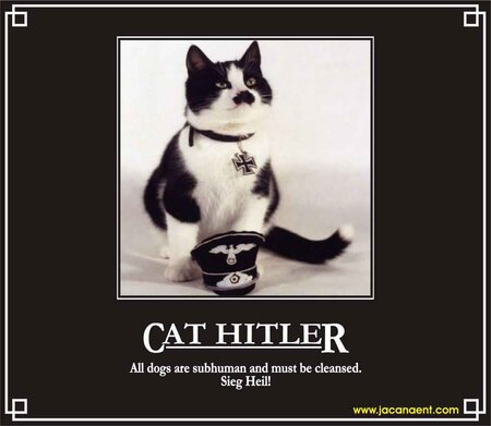 Cat Hitler.jpg