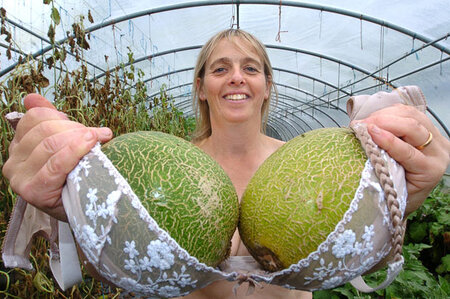 melons-bra_1711664i.jpg