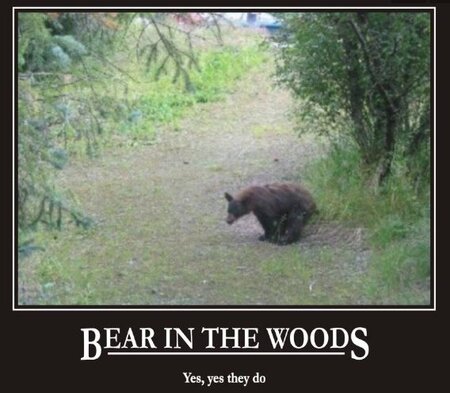 Bear in the Woods.JPG