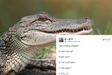 twitter-animals-alligator.jpg