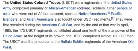 colored soldiers.jpg