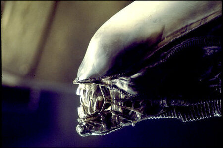 1979_alien_014.jpg