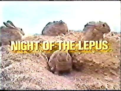 lepus.jpg