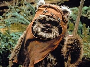 Ewok.jpg