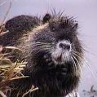 Nutria