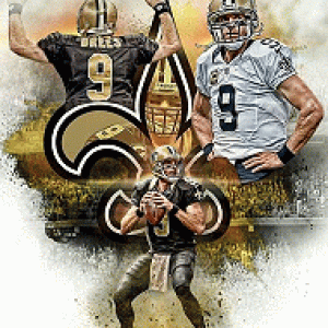 Brees6