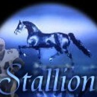 stallion - Copy.jpg