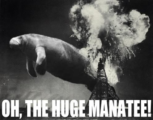 OhTheHugeManatee.jpg