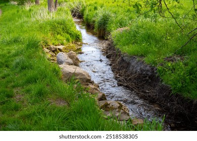 small-stream-rocks-green-on-260nw-2518538305.jpg