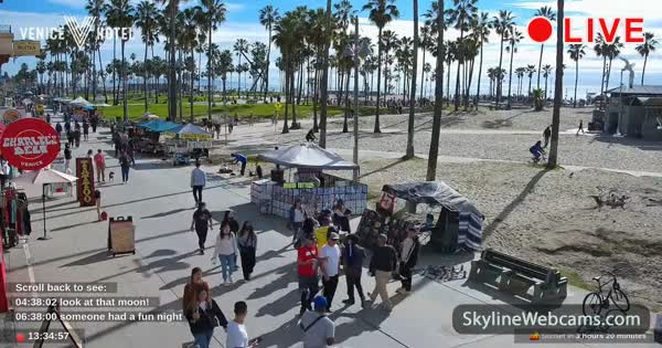 www.skylinewebcams.com