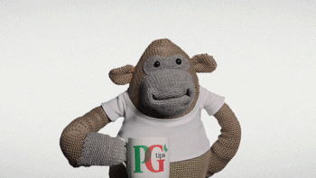 I Got This Wink GIF by PG Tips - Find & Share on GIPHY