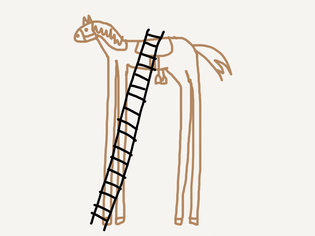 Horse.jpg