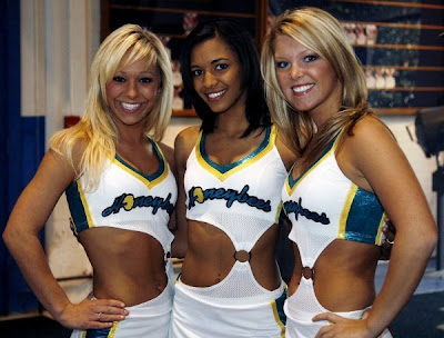 new-orleans-hornets-honeybees-6.jpg