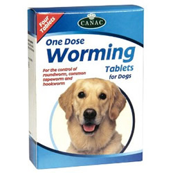 dog-worming-kit.jpg