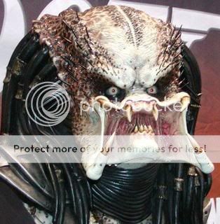 Predator1Head.jpg