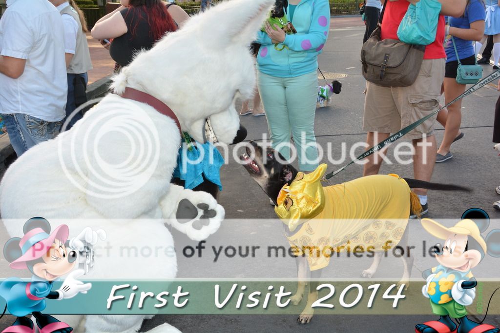 PhotoPass_Visiting_Magic_Kingdom_70432759416_zps7pfizfjg.jpg