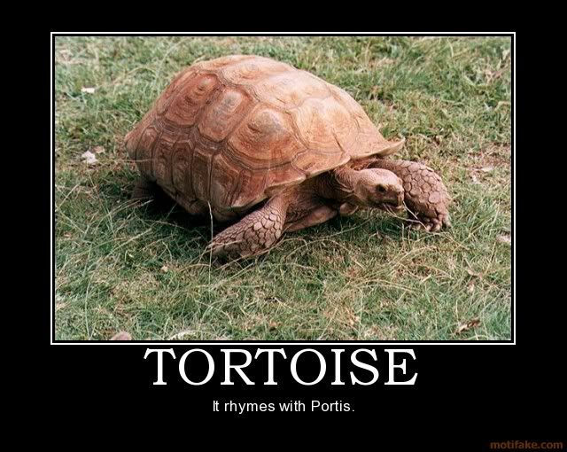 tortoise-demotivational-poster-1256.jpg