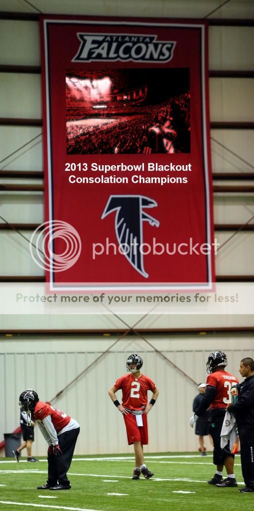 Falcons_Banner_zps652b69d2.jpg