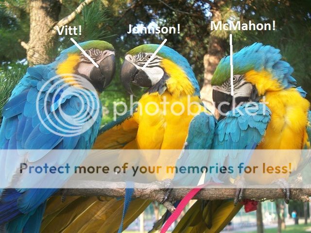 3%20parrots%201_zpsw5htq3sn.jpg