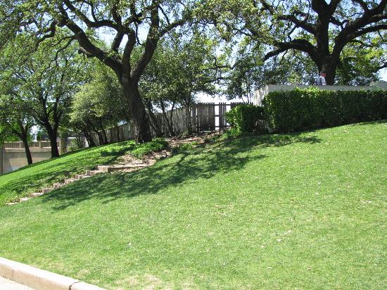 the-grassy-knoll.jpg